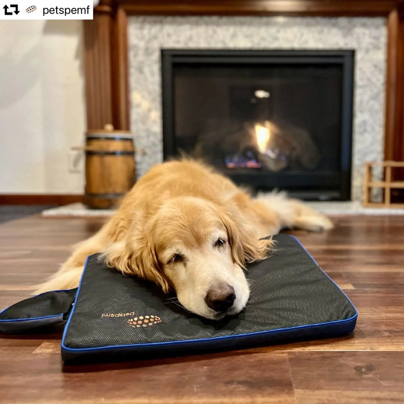 Petspemf Pad for Dogs
