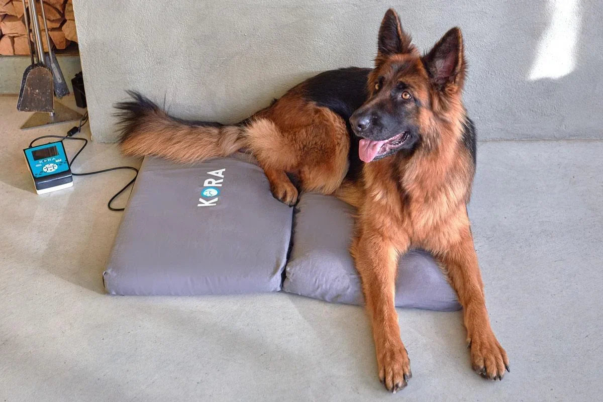 Kora Home PEMF Dog Mat