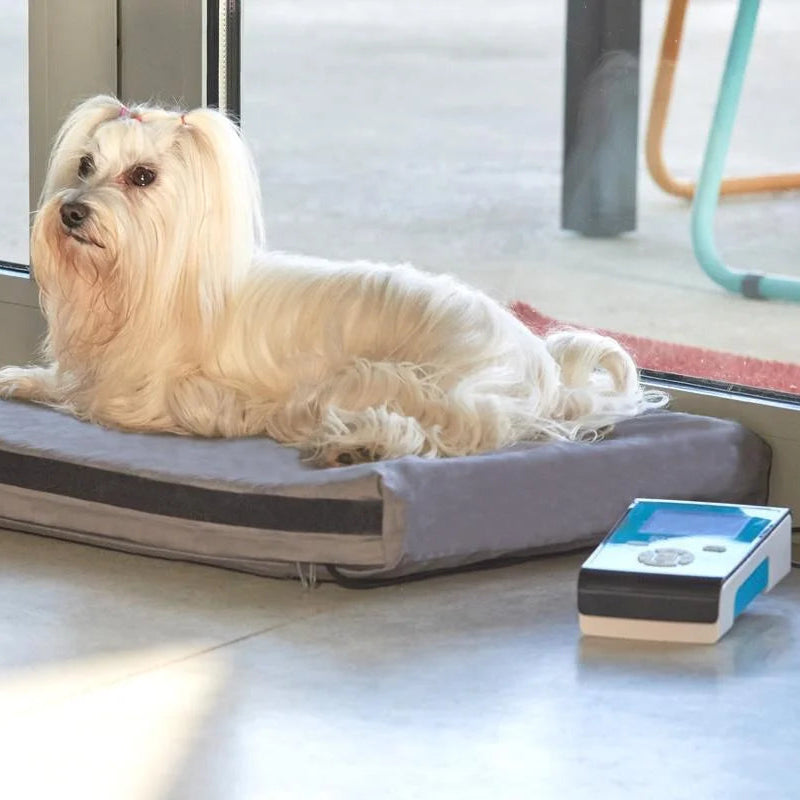 Kora Home PEMF Dog Mat