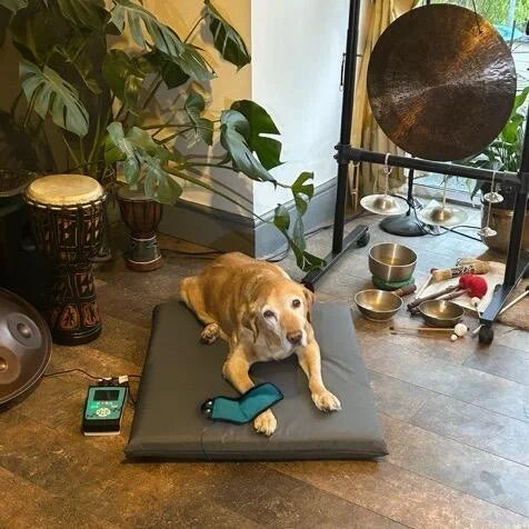 ZenDogHealth ‘KoraSPORT’ PEMF Dog Mat System