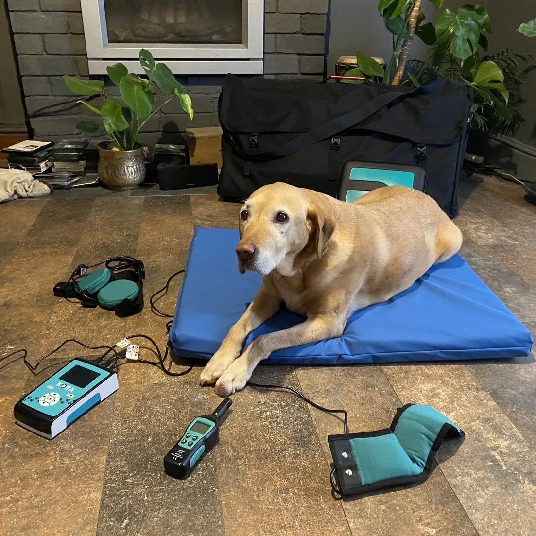 ZenDogHealth ‘KoraVet’ Professional PEMF Dog Mat System