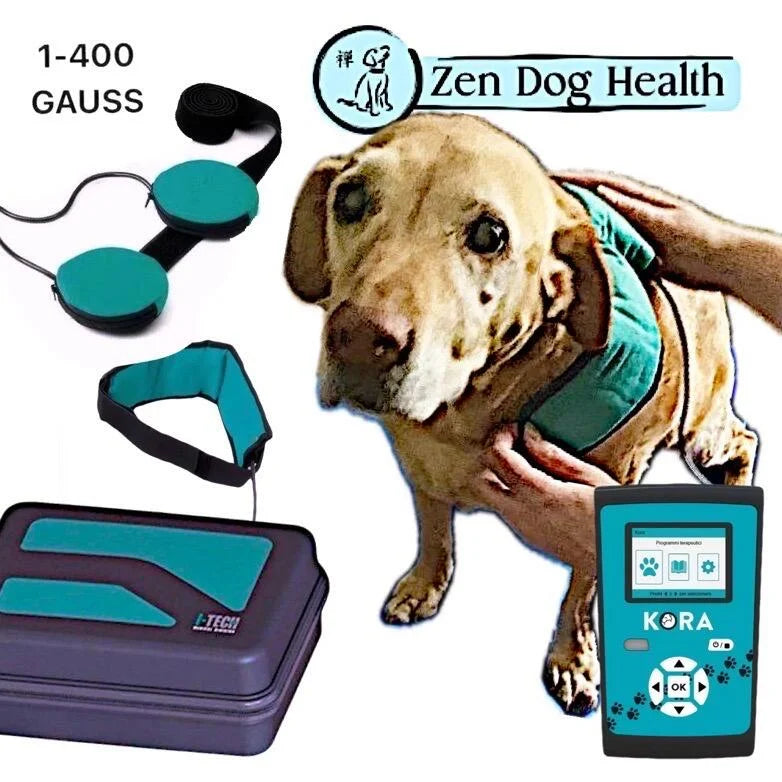 ZenDogHealth ‘KoraPhysio Focus’ Professional PEMF Applicator Treatment System