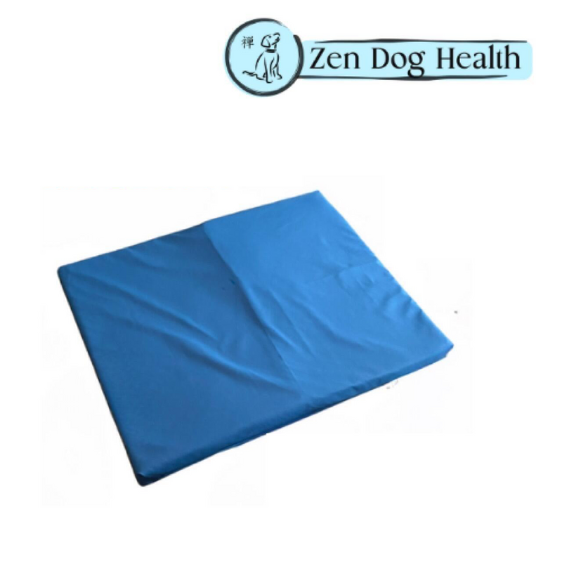 Clinical Cover for ZenDogHealth KoraPhysio & KoraVet Mats